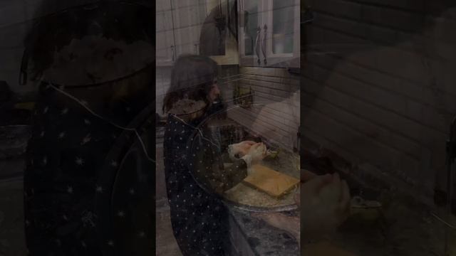 Ягодные ПП ватрушки с творогом?