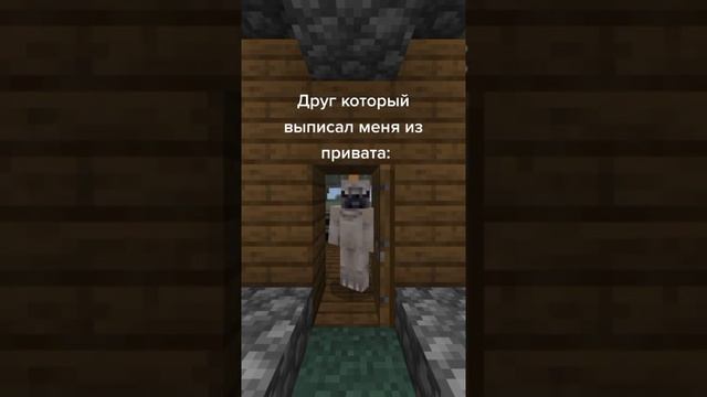 Друг выписал из привата Майнкрафт