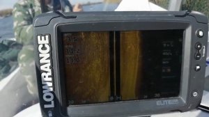 огромные стаи сазана в эхолоте lowrance ti2