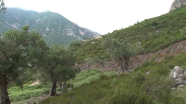 PD: Pas 21 ton hashash qëndrojnë krerët e policisë së Vlorës смотреть онлайн