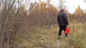 Выращиваем Благородные Грибы на Даче! ? Московская область, Звездный Городок.