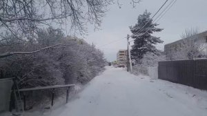 Все подсказки перед носом, следите за всем внимательно. Кланы начали сами себя съедать. 6.01.22г.