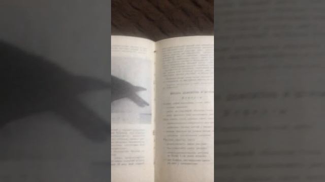 Стандарт Пермских высоколетные голубей
