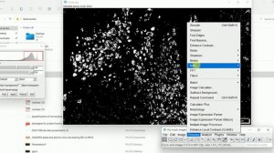 How to Count Cells Using ImageJ | How to Count Cells in Imagej | Imagej Cell Counting |