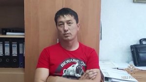 В Волгоградской области задержаны подозреваемые в незаконной охоте на сайгаков