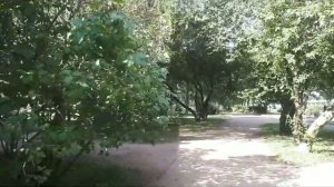 Зеленогорск Дворы города ЖД вокзал