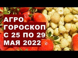 Агрогороскоп с 25 по 29 мая 2022 года