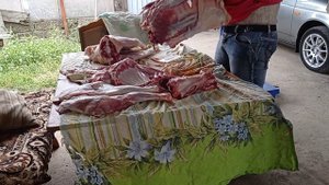 Вес ягненка в 6 месяцев, разделка туши барана.