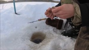 Они атаковали Из первой лунки Зимняя рыбалка Карелия