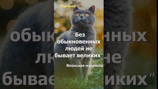 Без обыкновенных людей | Сказки Суламифь