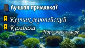 ✮ Норвежское море ✮ Керчак европейский ✮ Камбала морская ✮