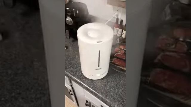 ONSON 2019 Humidifier