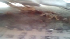 замена эластичной муфты E-39 BMW (рейстал)