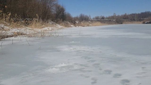 "Пруд "Грачев" с камерой "Calipso", 25.03.2022 В.Мамон смотреть онлайн