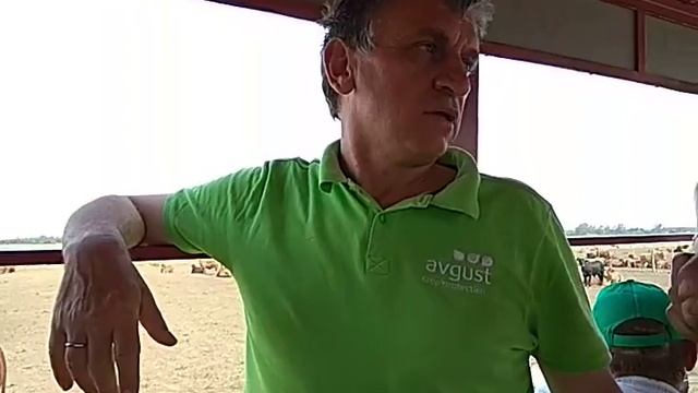 Комбикормовый завод. Отель для животных. Аргентина 7