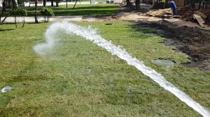 Собака кусает воду. Такса