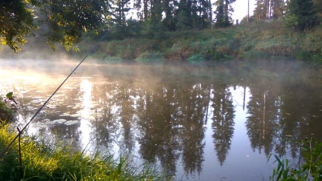 Утренняя РЫБАЛКА в ПОДМОСКОВЬЕ. Атмосфера УТРЕННЕЙ осенней РЫБАЛКИ на живца - 2023 смотреть онлайн