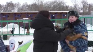 Кинологический питомник ГУФСИН Кузбасса передал 10 щенков коллегам в Хакассию.mp4