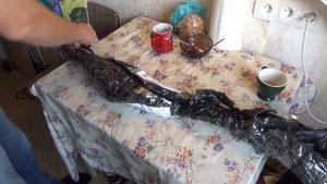 Посылка с саженцами миндаля из питомника Волковых