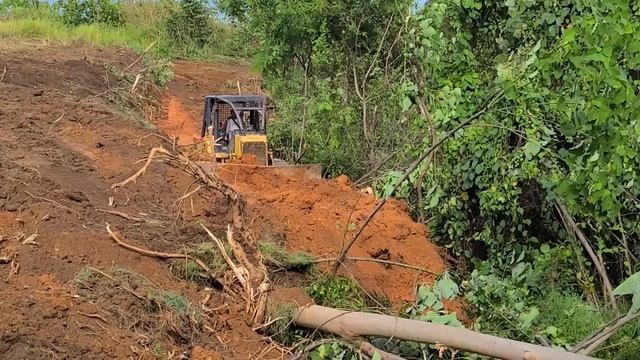 Bulldozer Komatsu D68ESS Making The Place to Plant Palm Oil in The Forest смотреть онлайн