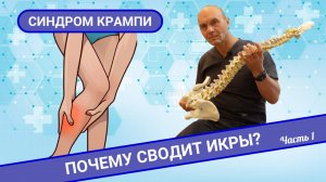 ПОЧЕМУ СВОДИТ ИКРЫ? Синдром Крампи. (Часть 1)