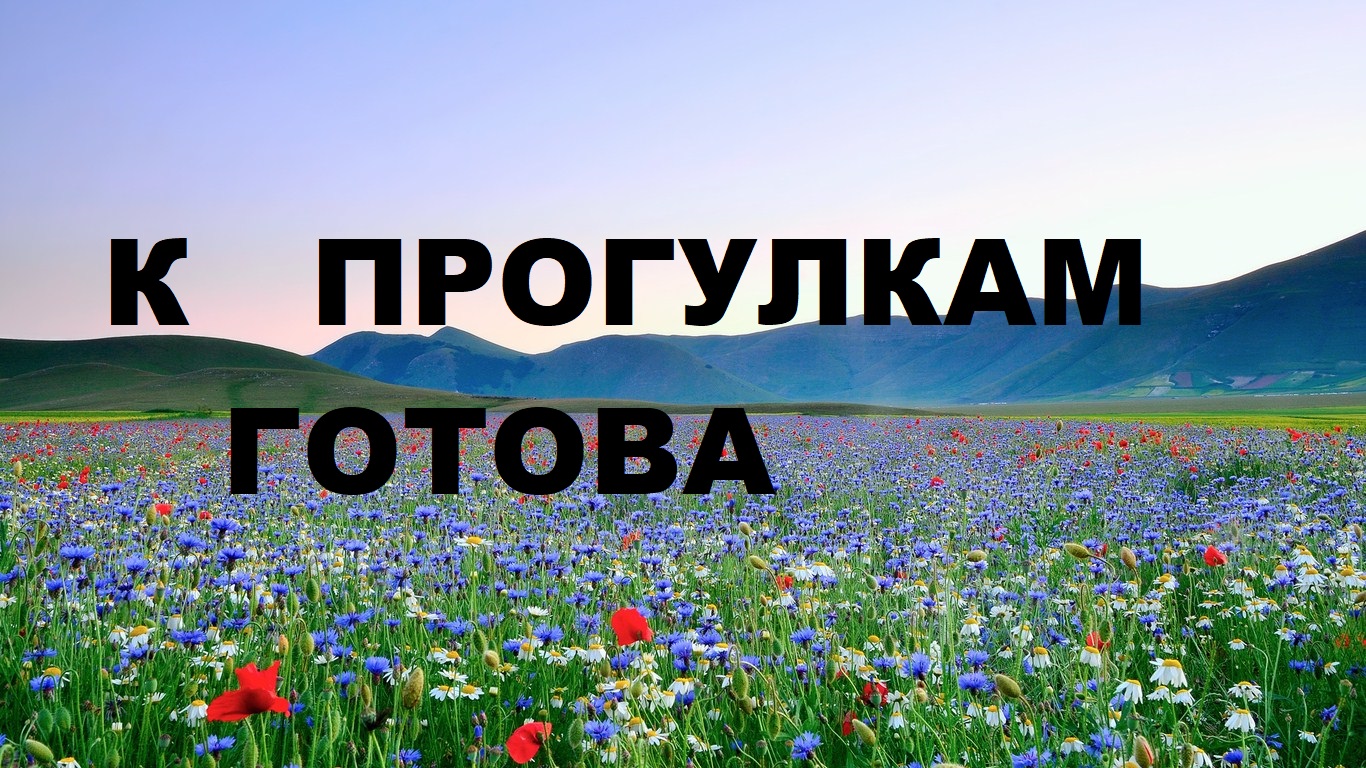 Маленькие сумочки для прогулок.Интересная форма.(2023г)