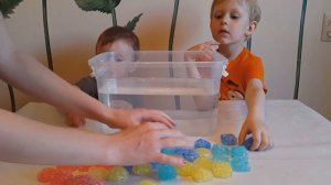 Замораживаем цветные шарики орбиз, запускаем замороженные орбиз в воду