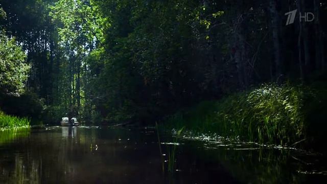 Камертон смотреть онлайн