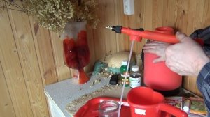 Что делать если появились красные пятна на листьях смородины Обзор средств от вредителей