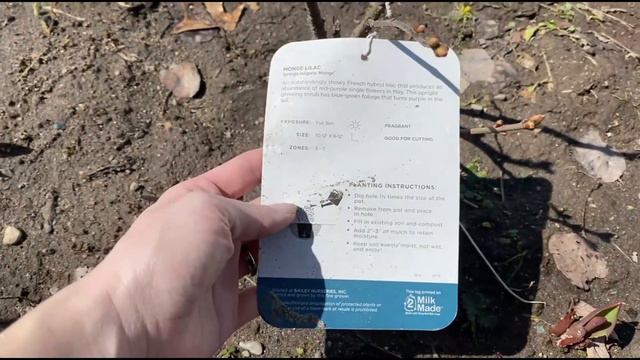 Spring Is Here! Spring Garden Clean Up! | Simply Bloom смотреть онлайн