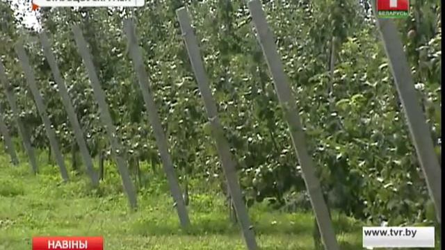 За 5 лет количество фермеров в Минской области увеличилось на треть смотреть онлайн