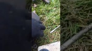 Замена конических подшипников на рядные прямые. Kia Sportage 1