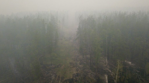 Жителей второго поселка эвакуируют из-за лесных пожаров под Рязанью