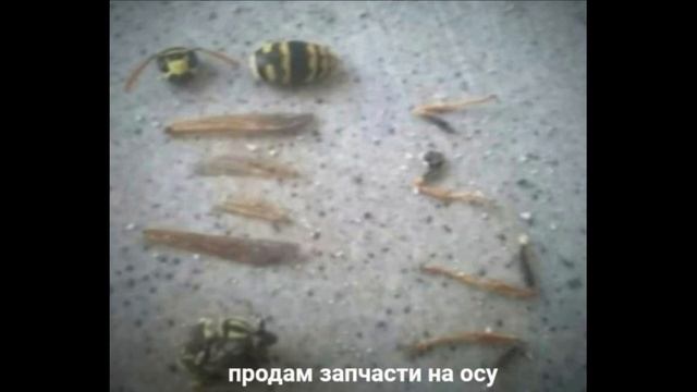 продам запчасти на осу