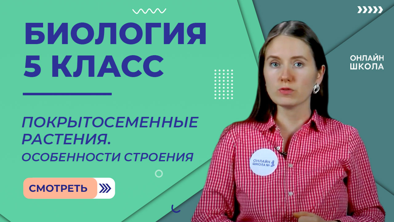 Покрытосеменные растения. Особенности строения. Видеоурок 31. Биология 5 класс