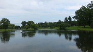 Америка,помойка и я-вы просили-вот вам от katvickas98