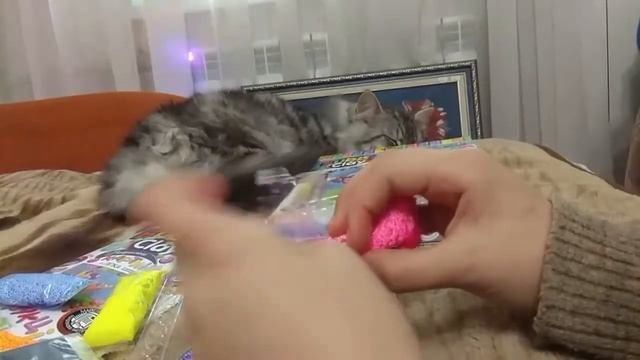 Аппликация Мишка Тедди шариковый пластилин «BUBBLE CLAY» Витражная Картина Nastia Super Star смотреть онлайн