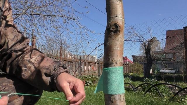 Вариант ловчего пояса! Легко и надежно!
