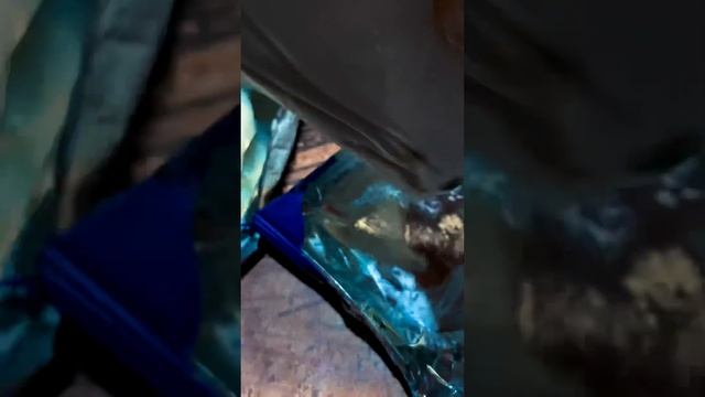 Праздник к нам приходит!