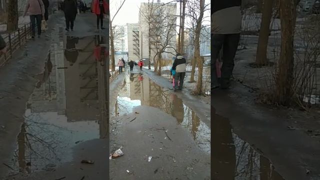 Санкт-Петербург Городская среда