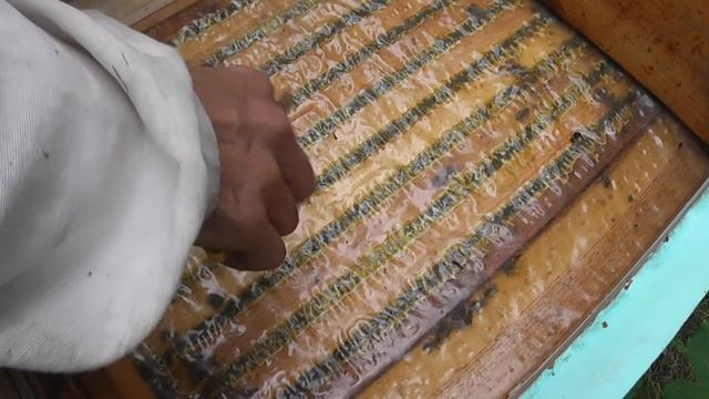 кормушка из ведра - хороший вариант смотреть онлайн