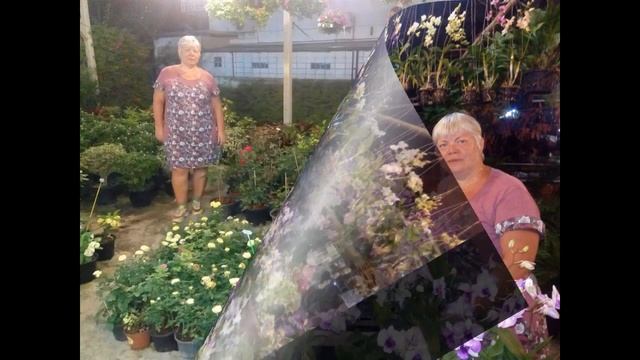 Цветочный магазин. Любителям тропических цветов. Паттайя. смотреть онлайн