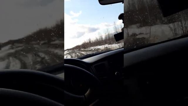 Пальяновское месторождение