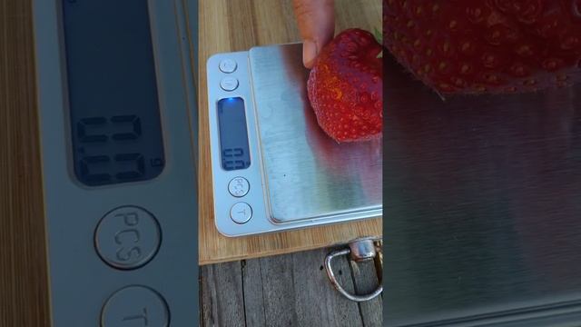 Сорт клубники "Венди". ЛПХ"Клубничный салют". rassada-klubniki-zemlyaniki.for.ru смотреть онлайн