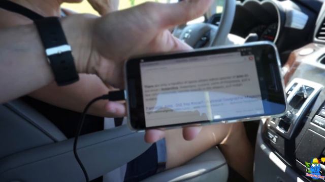 Amazing Trip to the Zoo - Zoo Animals for Children - Lions, Polar Bears & More - Kids Family Vlog смотреть онлайн