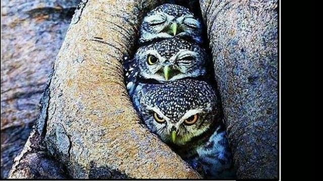 Смешные картинки про Жизнь