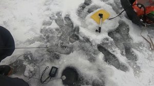 Рыбалка с Garmin Panoptix Livescope на Москва реке