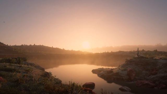 New Austin - Red Dead Redemption 2 - ULTRA PC - Relaxing Ambience смотреть онлайн