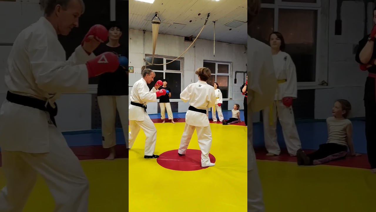 Техника нырков под удар с контратакой. Asai Ryu karate Sevastopol. #karate #каратэ