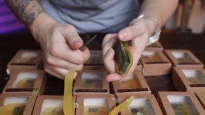 Купил ДЕНЕЖНОЕ МЫЛО! Сколько денег в 100 коробках?